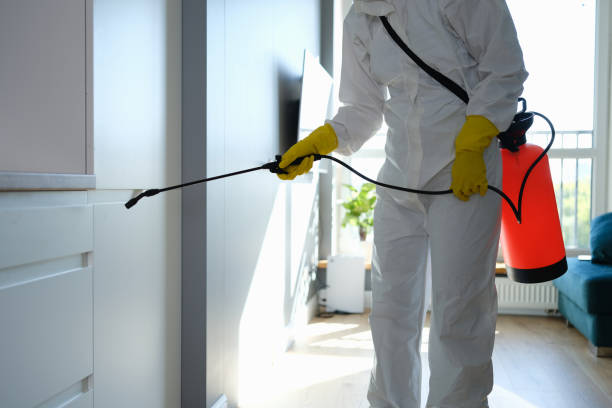 Office Mold Removal Services in Fox Lake, IL