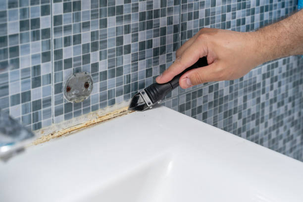 Best Same-Day Mold Removal  in Fox Lake, IL